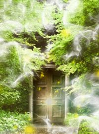 電話占いウィル　リーメイ先生